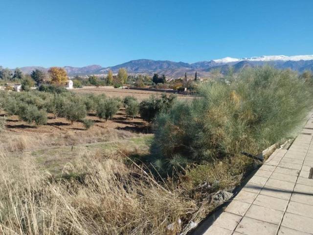 Terreno en venta en Comarca de la Vega de Granada, Andalucía