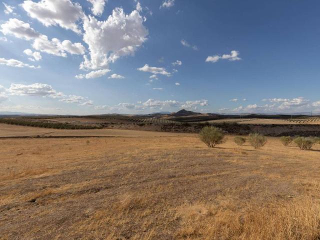 Terreno en venta en Comarca de la Vega de Granada, Andalucía