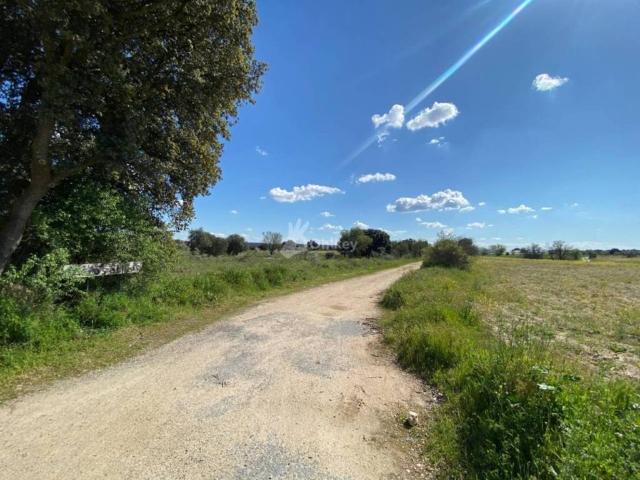 Terreno en venta en Villa Del Prado, Madrid