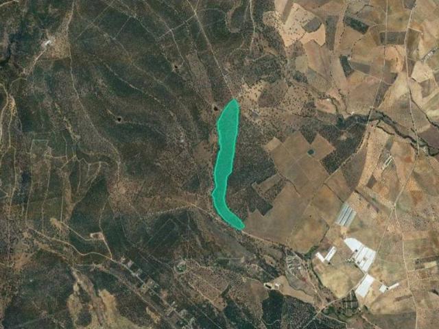 Terreno en venta en Villa Del Prado, Madrid