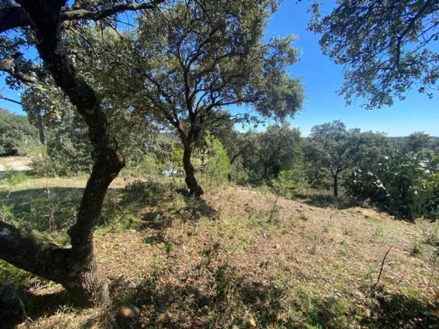 Terreno en venta en Villa Del Prado, Madrid