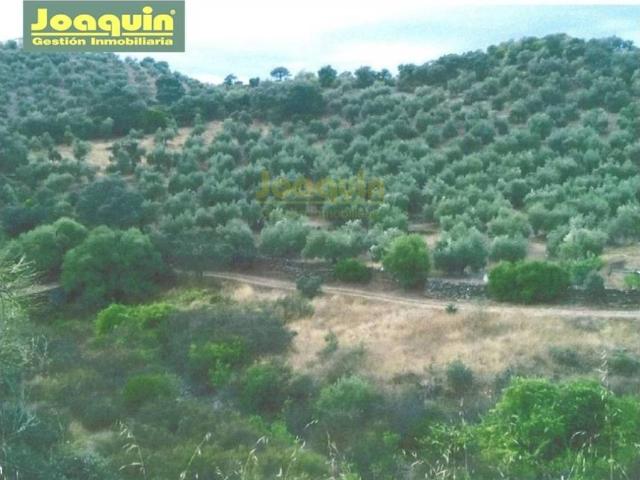Terreno en venta en Villa Del Río, Andalucía
