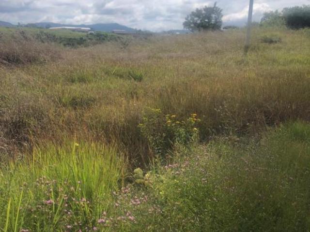 Terreno en venta en Villa Guerrero, Estado de México