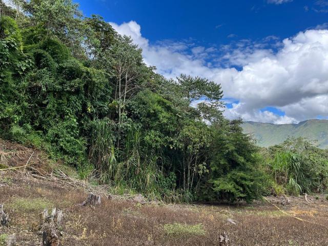 Terreno venta en Villa Rica, Pasco
