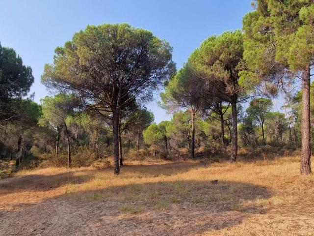 Terreno en venta en Costa Occidental, Andalucía
