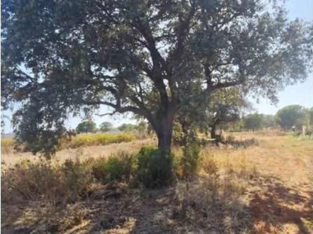 Terreno en venta en Costa Occidental, Andalucía
