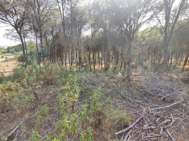 Terreno en venta en Villablanca