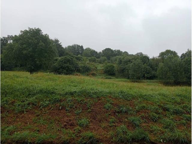 Terreno en venta en Villacarriedo, Cantabria