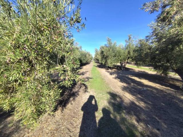 Terreno en venta en Villacarrillo, Andalucía