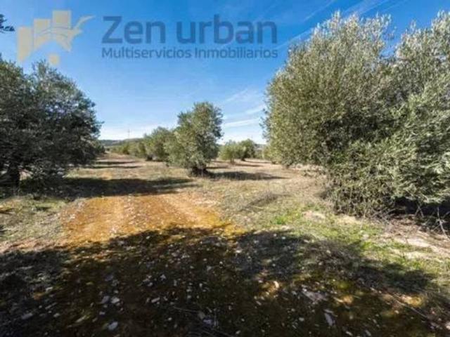 Terreno en venta en Villacañas, Castilla-La Mancha