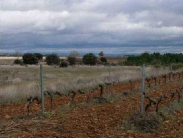 Terreno en venta en Chozas De Abajo, Castilla y León