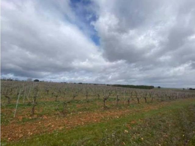 Terreno en venta en Chozas De Abajo, Castilla y León
