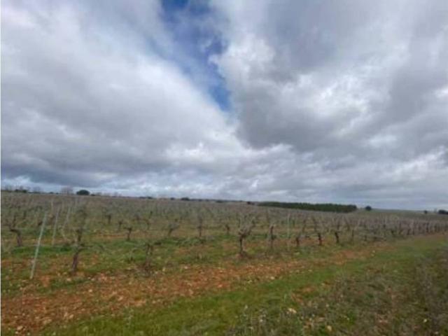 Terreno en venta en Chozas De Abajo, Castilla y León