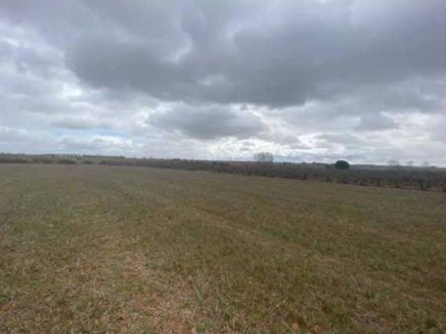 Terreno en venta en Chozas De Abajo, Castilla y León