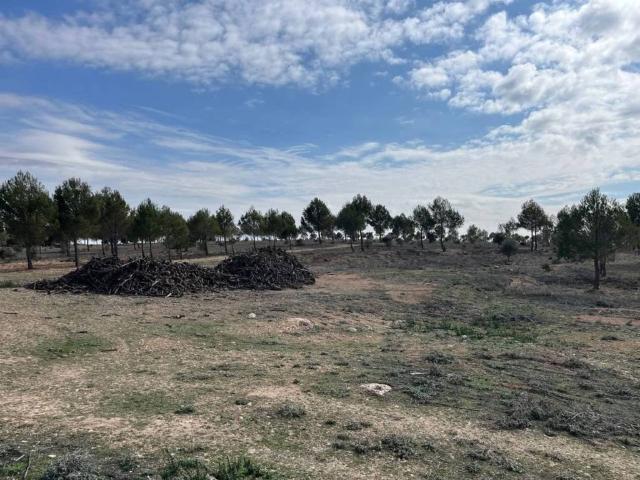 Terreno en venta en Villaescusa De Haro, Castilla-La Mancha