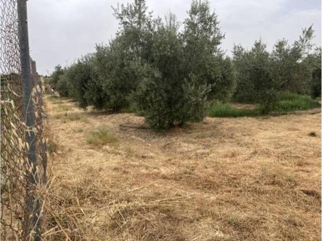 Terreno en venta en Villafranca De Córdoba, Andalucía