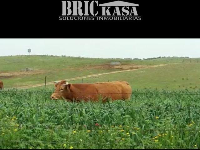 Terreno en venta en Villafranca De Los Barros