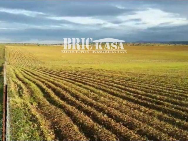 Terreno en venta en Villafranca De Los Barros