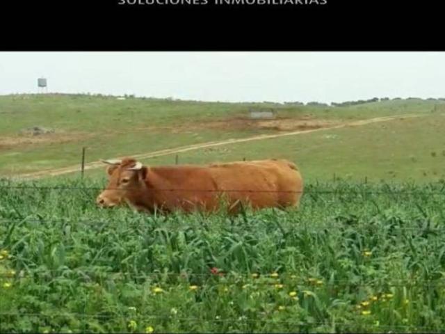 Terreno en venta en Tierra de Barros, Extremadura