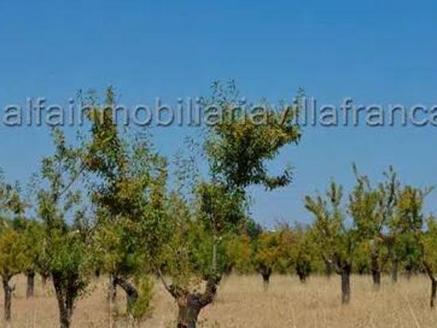 Terreno en venta en Tierra de Barros, Extremadura