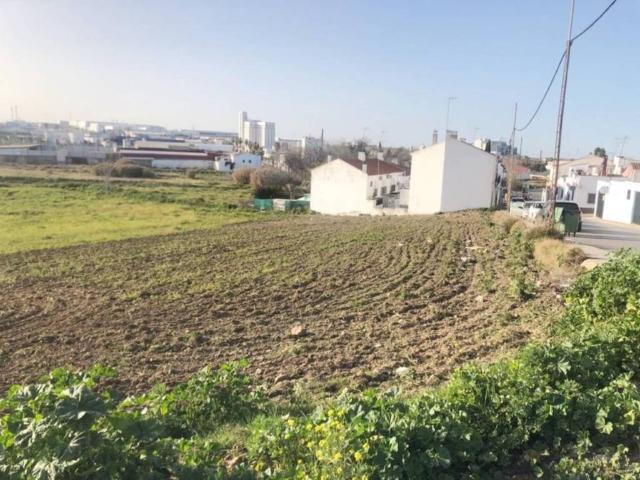 Terreno en venta en Villafranca De Los Barros, Badajoz