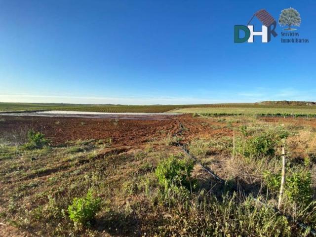 Terreno en venta en Tierra de Barros, Extremadura