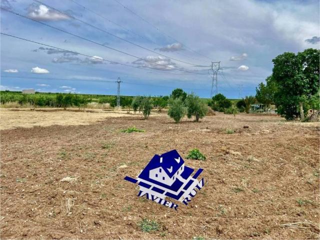 Terreno en venta en Villafranca de los Barros, Tierra de Barros