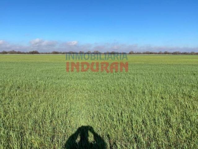 Terreno en venta en Villafranca De Los Caballeros, Castilla-La Mancha