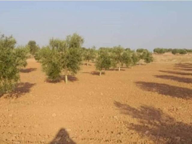 Terreno en venta en Villafranca De Los Caballeros, Castilla-La Mancha