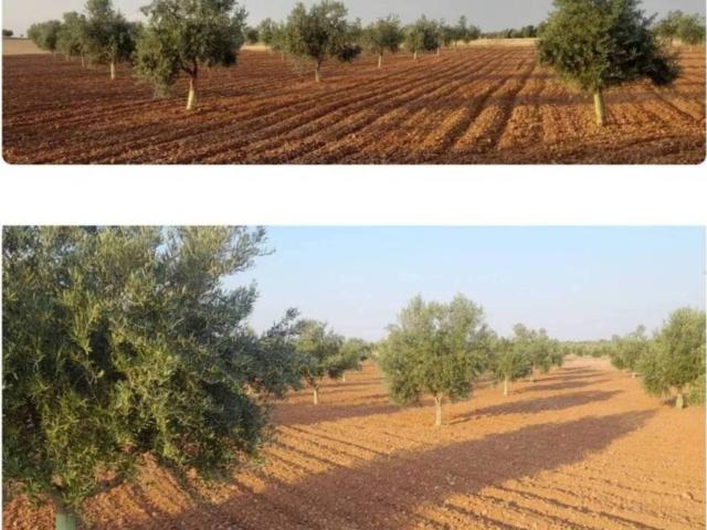 Terreno en venta en Villafranca De Los Caballeros, Castilla-La Mancha