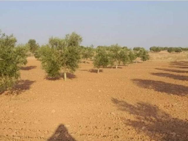 Terreno en venta en Villafranca De Los Caballeros, Castilla-La Mancha