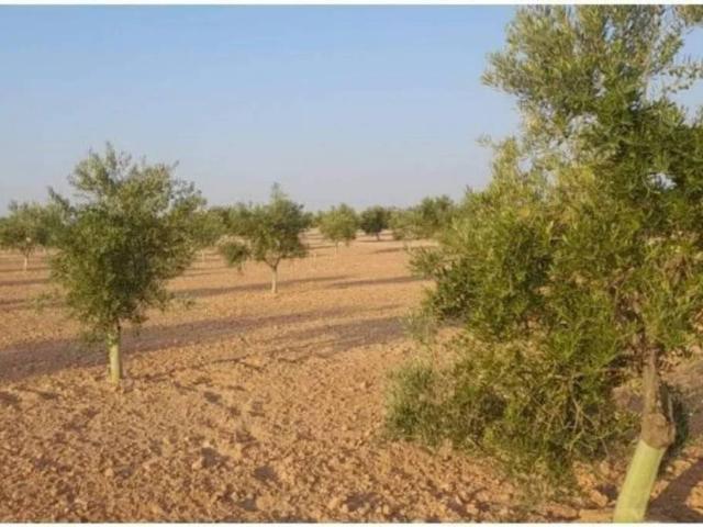 Terreno en venta en Villafranca De Los Caballeros, Castilla-La Mancha