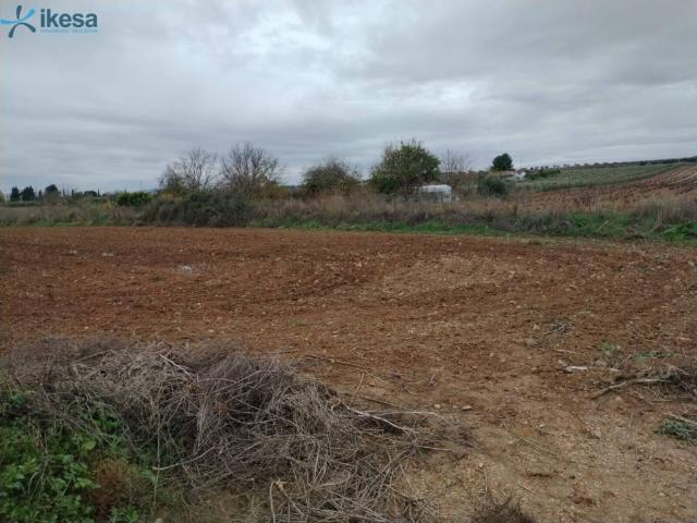 Terreno en venta en Tierra de Barros, Extremadura