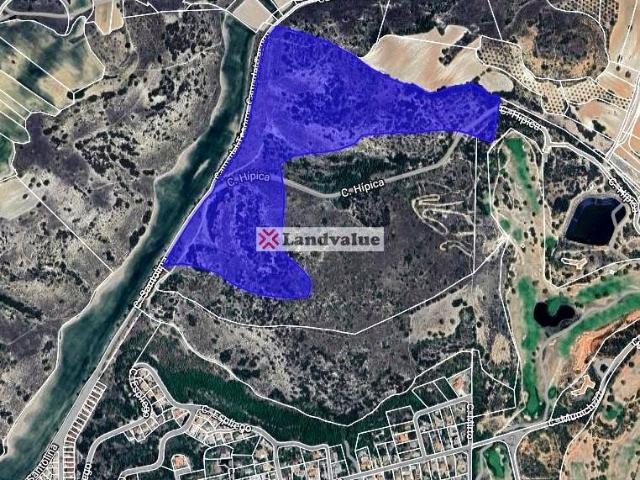 Terreno en venta en Anchuelo, Madrid