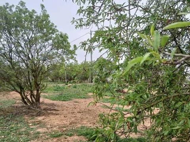 Terreno en venta en Villamalea, Castilla-La Mancha