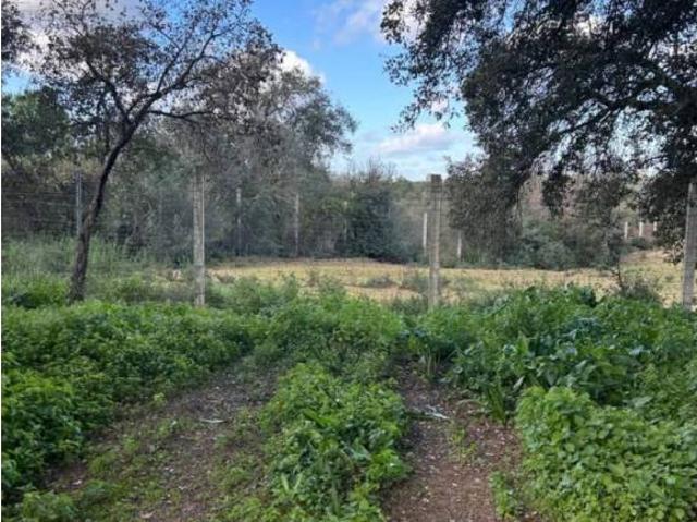 Terreno en venta en Villamanrique De La Condesa, Andalucía