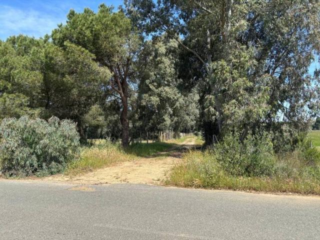 Terreno en venta en Villamanrique De La Condesa, Andalucía
