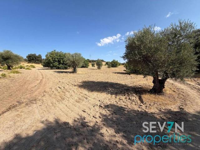 Terreno en venta en Villamanta, Comunidad de Madrid