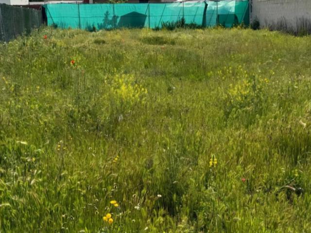 Terreno en venta en Villamayor, Castilla y León