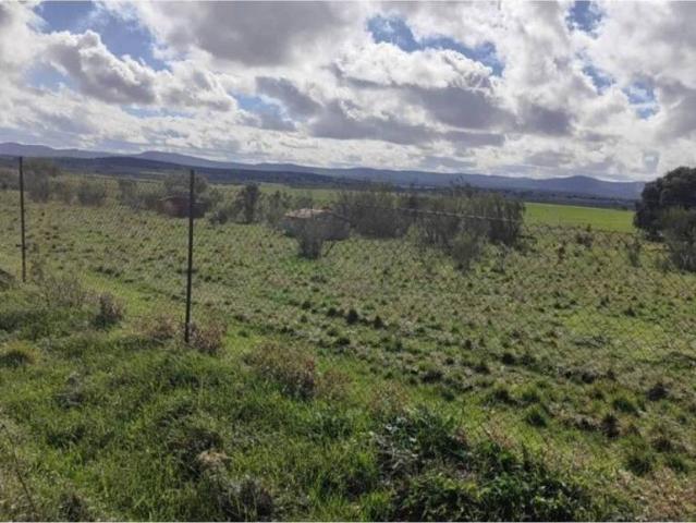 Terreno en venta en Villamayor De Calatrava, Castilla-La Mancha