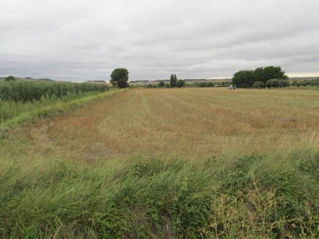 Terreno en venta en Villamediana De Iregua, La Rioja