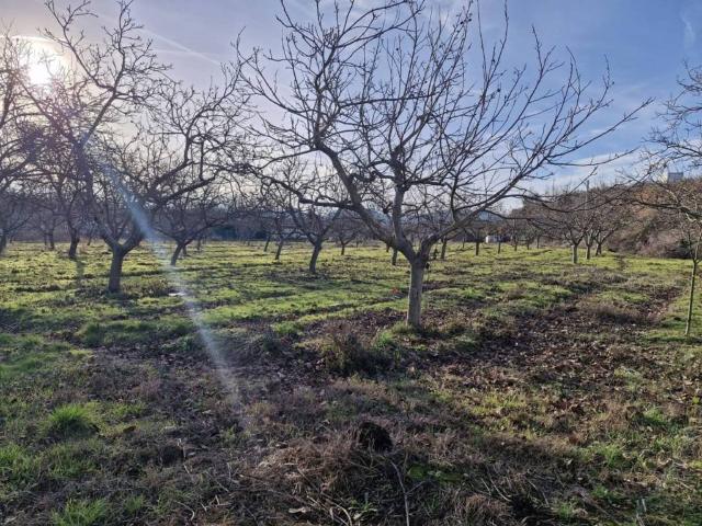 Terreno en venta en Villamediana De Iregua, La Rioja