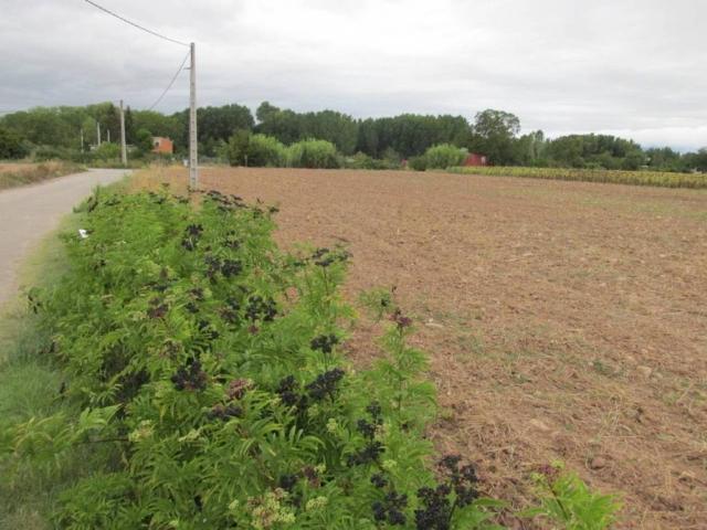 Terreno en venta en Villamediana De Iregua, La Rioja