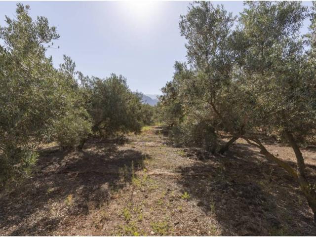 Terreno en venta en Comarca del Valle de Lecrín, Andalucía
