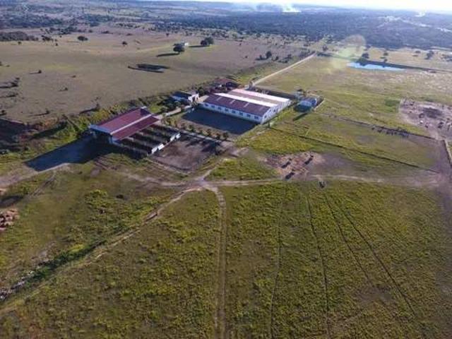 Terreno en venta en Villamesías, Extremadura