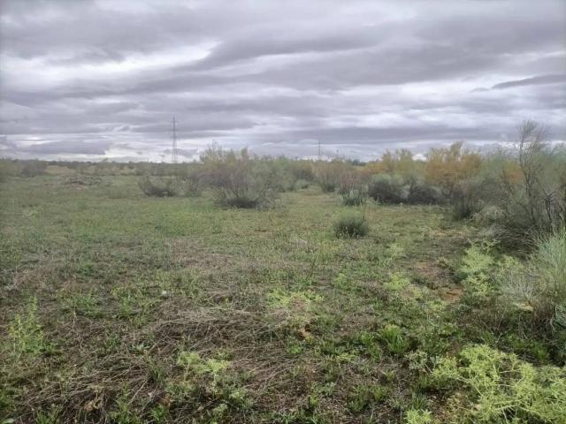 Terreno en venta en Villaminaya, Castilla-La Mancha