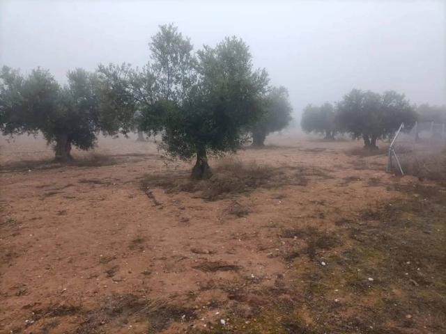 Terreno en venta en Villaminaya, Castilla-La Mancha
