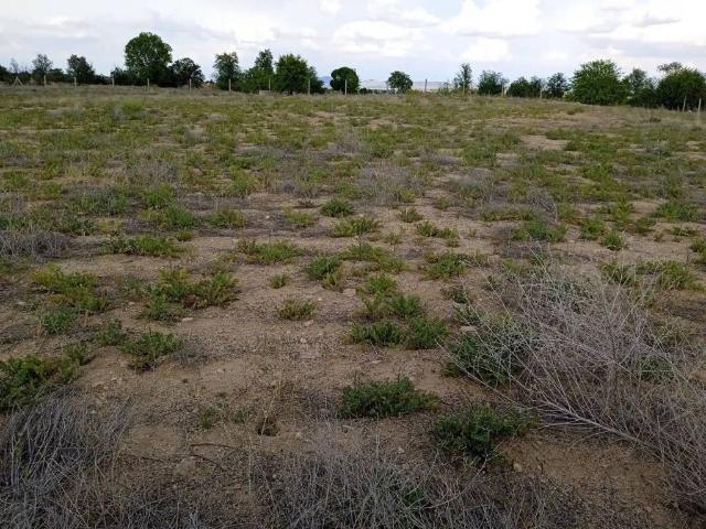 Terreno en venta en Villaminaya, Castilla-La Mancha