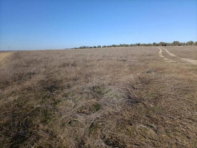 Terreno en venta en Villaminaya, Castilla-La Mancha