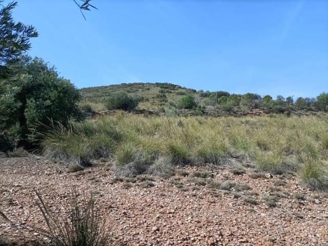 Terreno en venta en Villaminaya, Castilla-La Mancha